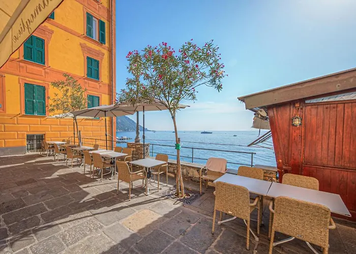 Casa Iris Confort E Mare A Due Passi * Camogli